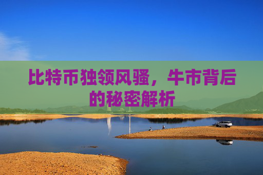 比特币独领风骚，牛市背后的秘密解析