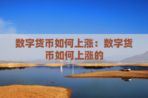 数字货币如何上涨：数字货币如何上涨的