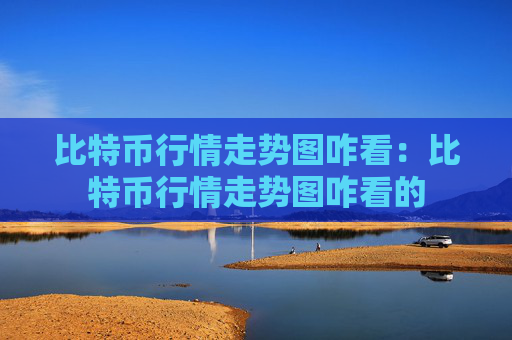 比特币行情走势图咋看：比特币行情走势图咋看的