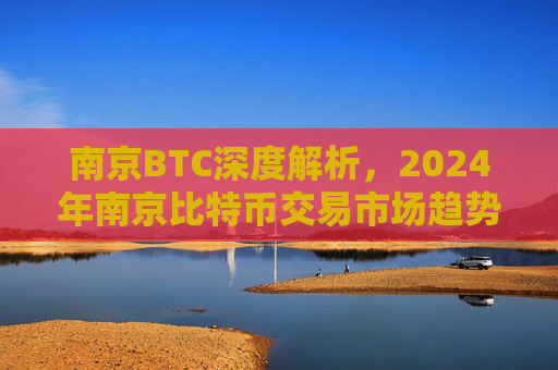 南京BTC深度解析，2024年南京比特币交易市场趋势与挑战