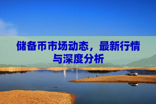 储备币市场动态，最新行情与深度分析