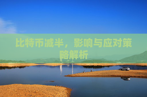 比特币减半，影响与应对策略解析