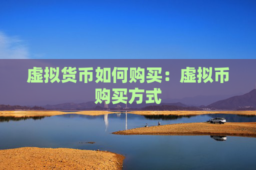 虚拟货币如何购买：虚拟币购买方式