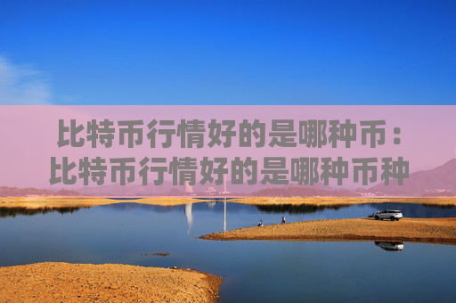 比特币行情好的是哪种币：比特币行情好的是哪种币种啊