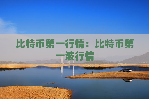 比特币第一行情：比特币第一波行情