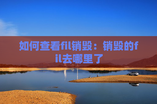 如何查看fil销毁：销毁的fil去哪里了