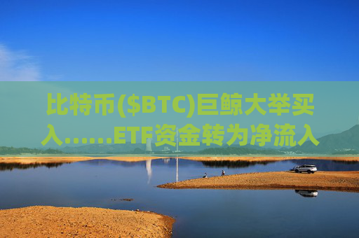 比特币($BTC)巨鲸大举买入……ETF资金转为净流入，散户持续观望
