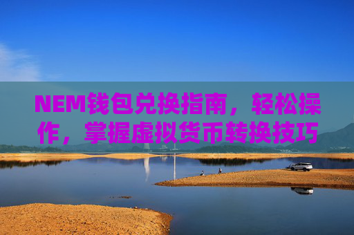 NEM钱包兑换指南,轻松操作,掌握虚拟货币转换技巧