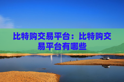 比特购交易平台：比特购交易平台有哪些