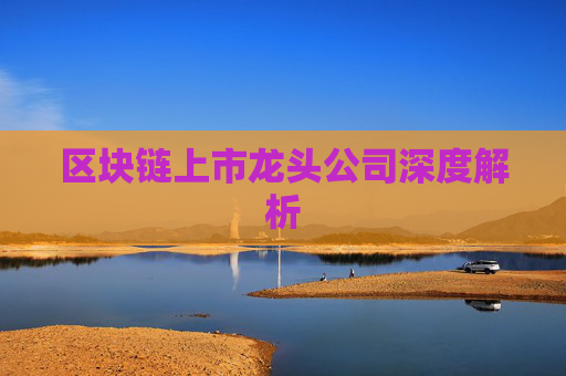 区块链上市龙头公司深度解析