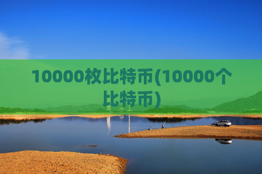 10000枚比特币(10000个比特币)