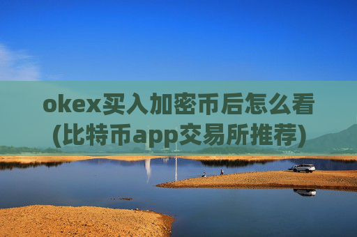 okex买入加密币后怎么看(比特币app交易所推荐)