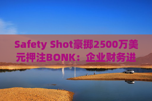 Safety Shot豪掷2500万美元押注BONK：企业财务进入模因币新时代