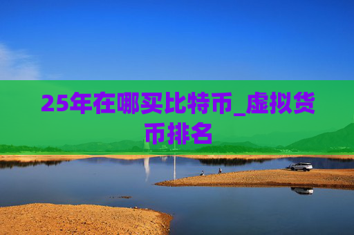 25年在哪买比特币_虚拟货币排名