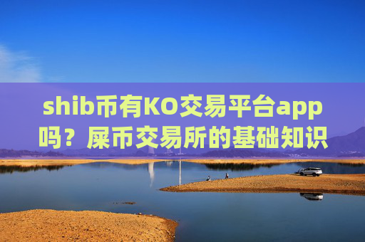shib币有KO交易平台app吗？屎币交易所的基础知识