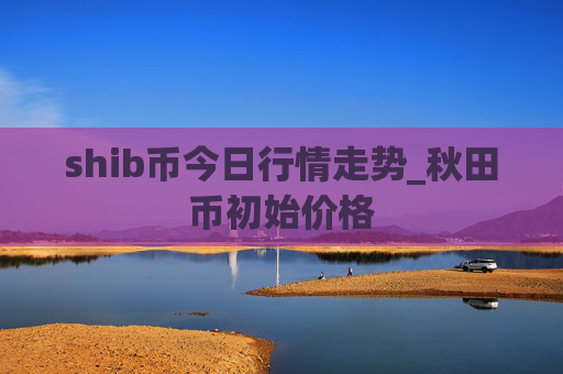 shib币今日行情走势_秋田币初始价格