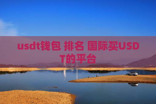 usdt钱包 排名 国际买USDT的平台