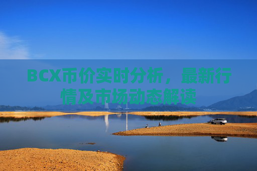 BCX币价实时分析，最新行情及市场动态解读