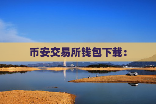 币安交易所钱包下载：
