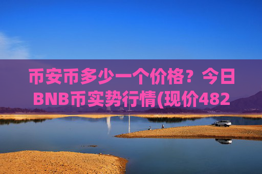币安币多少一个价格？今日BNB币实势行情(现价4829.26元)