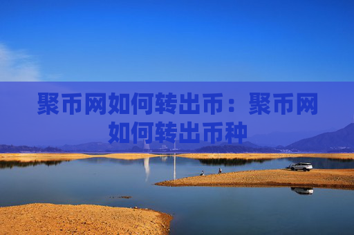 聚币网如何转出币：聚币网如何转出币种