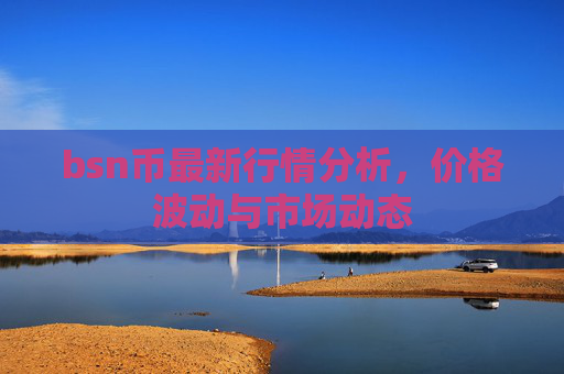 bsn币最新行情分析，价格波动与市场动态