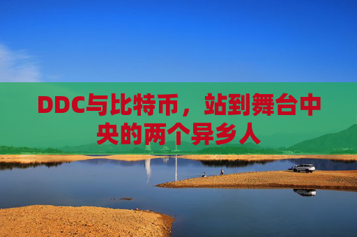 DDC与比特币，站到舞台中央的两个异乡人