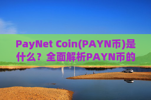 PayNet Coin(PAYN币)是什么？全面解析PAYN币的功能特点及2025年价格前景