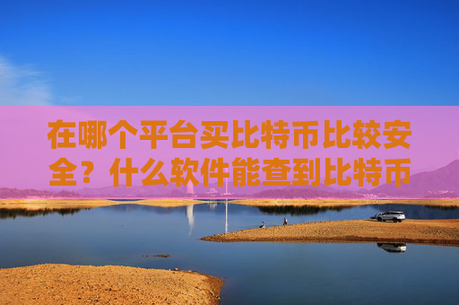 在哪个平台买比特币比较安全?什么软件能查到比特币价格