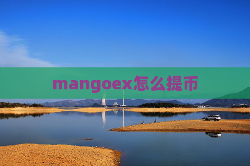 mangoex怎么提币