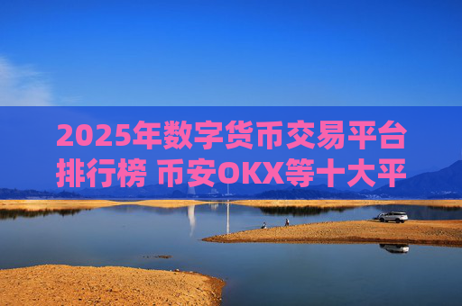 2025年数字货币交易平台排行榜 币安OKX等十大平台深度解析
