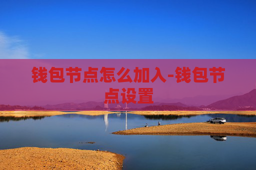 钱包节点怎么加入-钱包节点设置