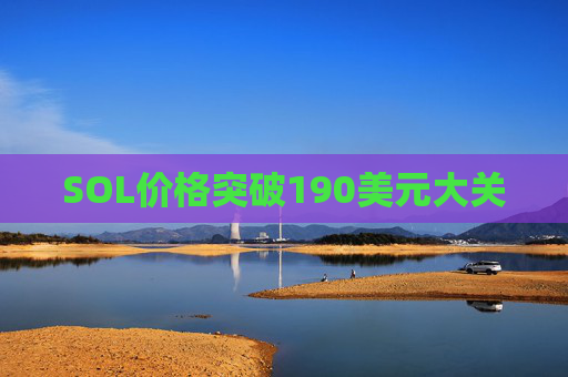 SOL价格突破190美元大关