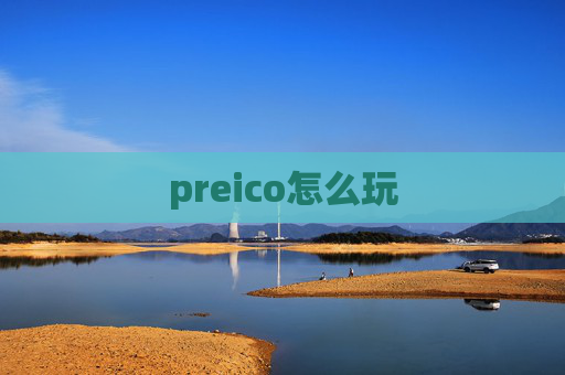 preico怎么玩