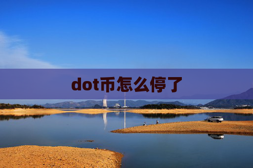 dot币怎么停了