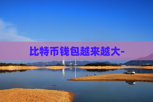 比特币钱包越来越大-