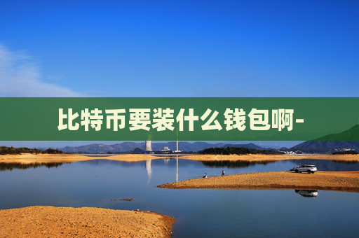 比特币要装什么钱包啊-
