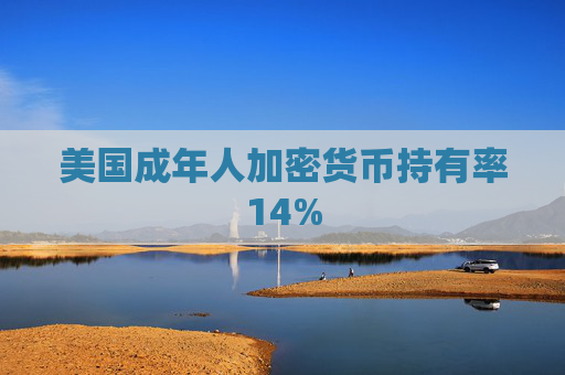 美国成年人加密货币持有率14%