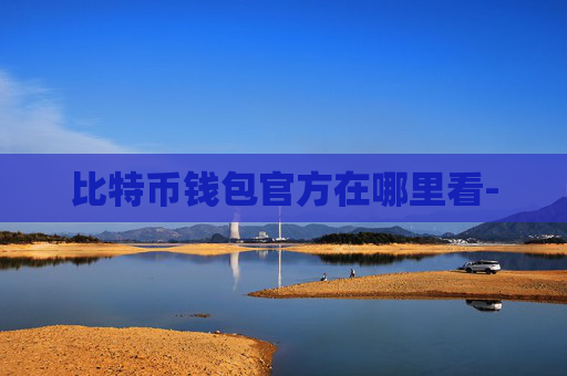 比特币钱包官方在哪里看-