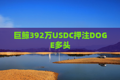 巨鲸392万USDC押注DOGE多头