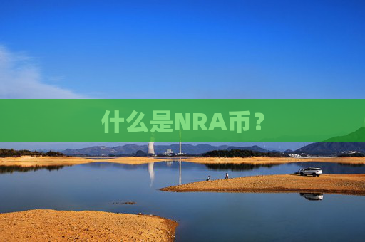 什么是NRA币？