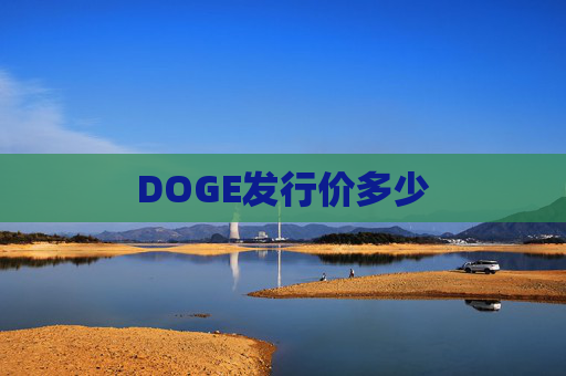 DOGE发行价多少