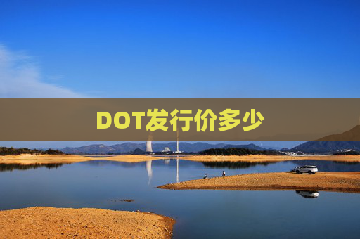 DOT发行价多少