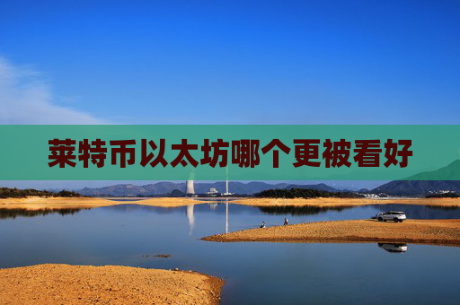 莱特币以太坊哪个更被看好