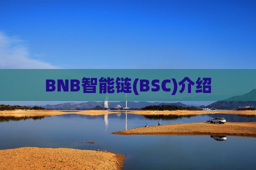 BNB智能链(BSC)介绍