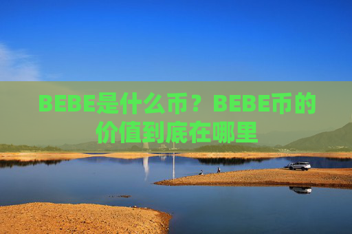 BEBE是什么币？BEBE币的价值到底在哪里