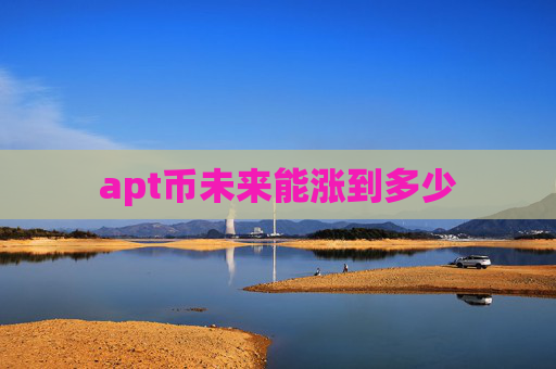 apt币未来能涨到多少