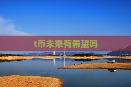 t币未来有希望吗