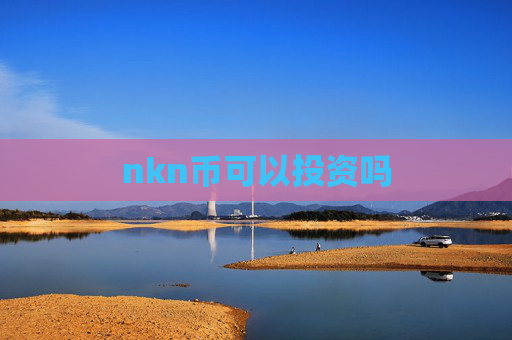 nkn币可以投资吗