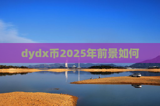 dydx币2025年前景如何